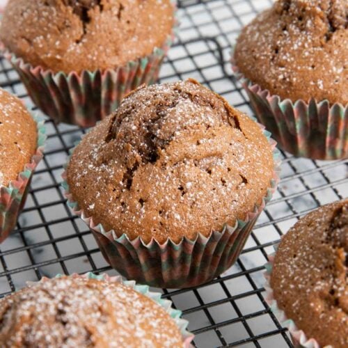 A closer shot of cocoa powder muffins, sprinkled with powdered sugar.